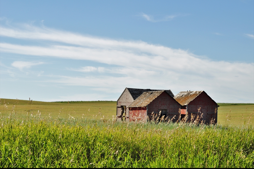 Prerie, Alberta, Canada