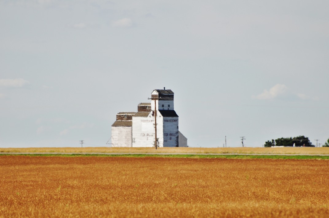 Activități agricole în regiunea stepei