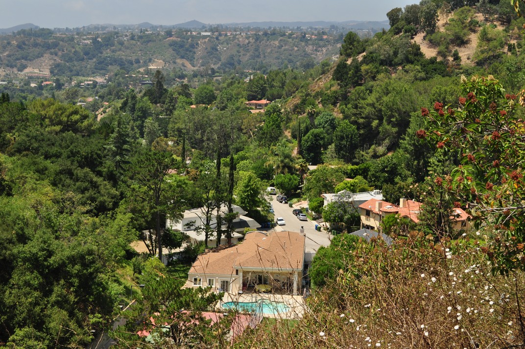 Chaparral (Chiapar), California