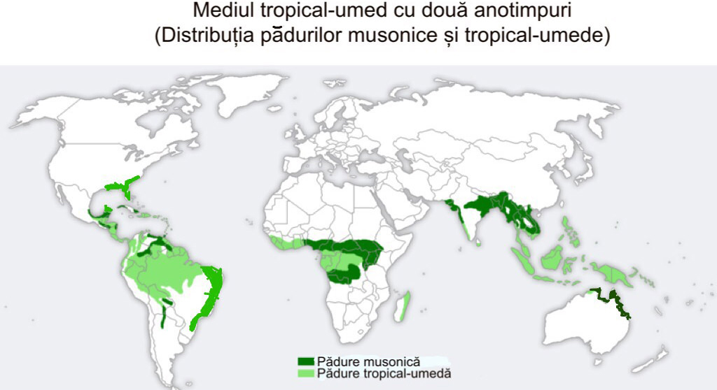 Distribuția pădurilor musonice și tropical-umede