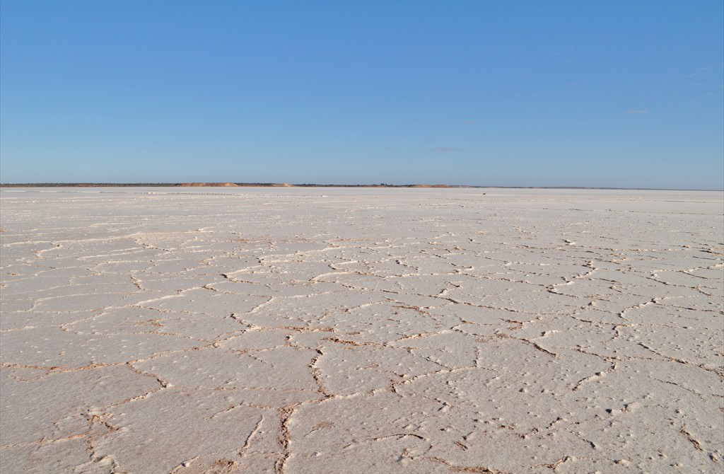 Lake Hart, Tirari-Sturt Stony Desert, South Australia