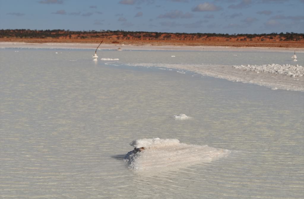 Salt pan, Lake Hart, Tirari-Sturt Stony Desert, South Australia