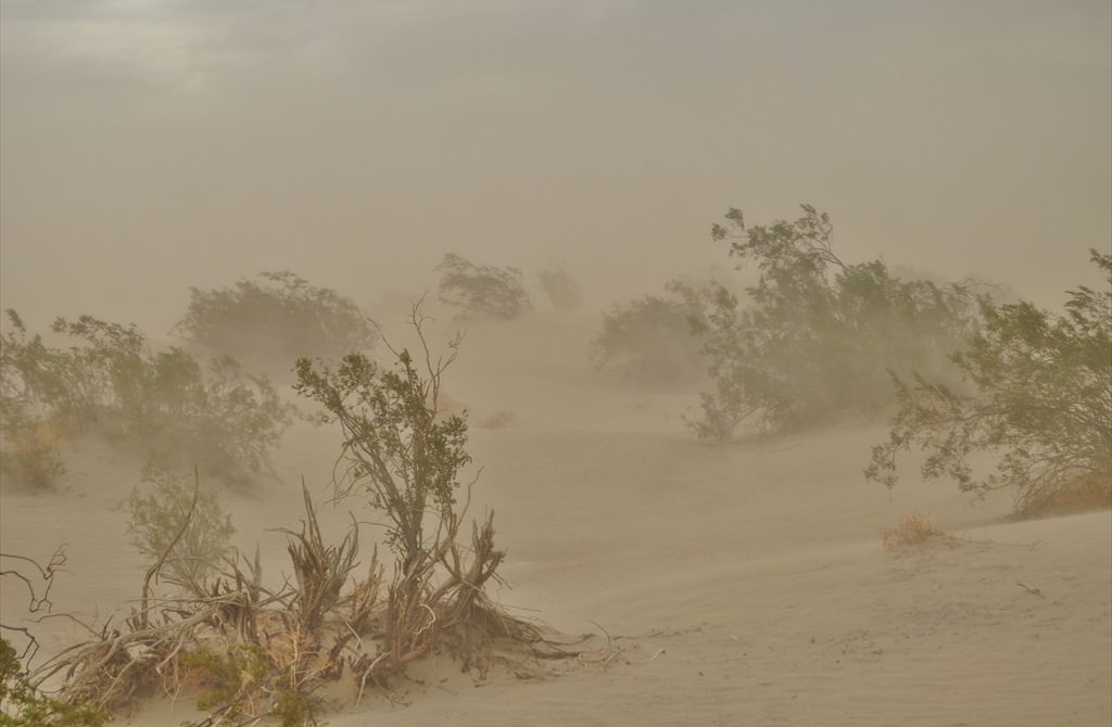 Sand Storm, Mesquite Sand Dunes, Death Valley, Mojave Desert