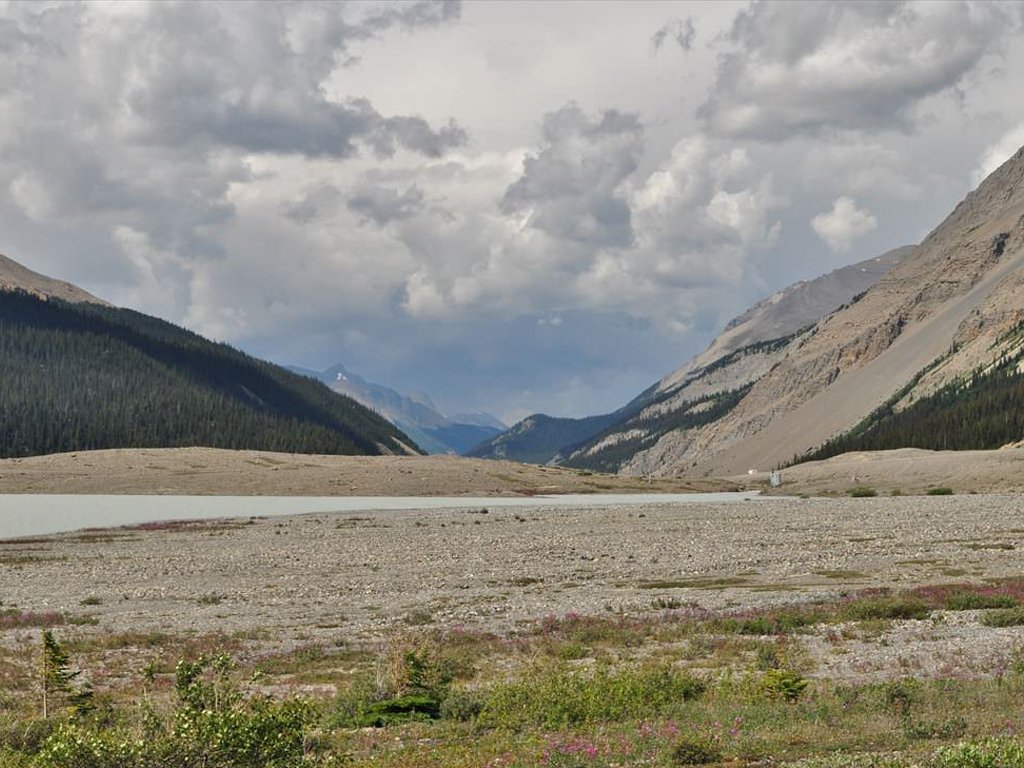 Athabasca River, Columbia Icefield, Icefield Parkway, Jasper National Park, AB