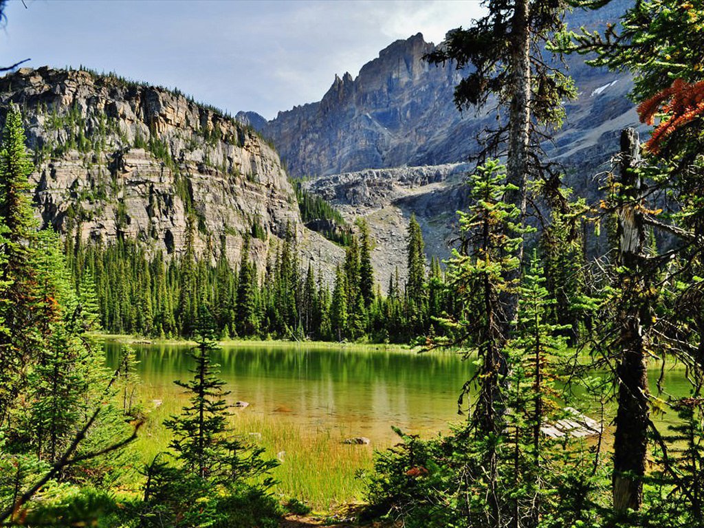 Mary Lake, Lake O'Hara area, Yoho National Park, British Columbia
