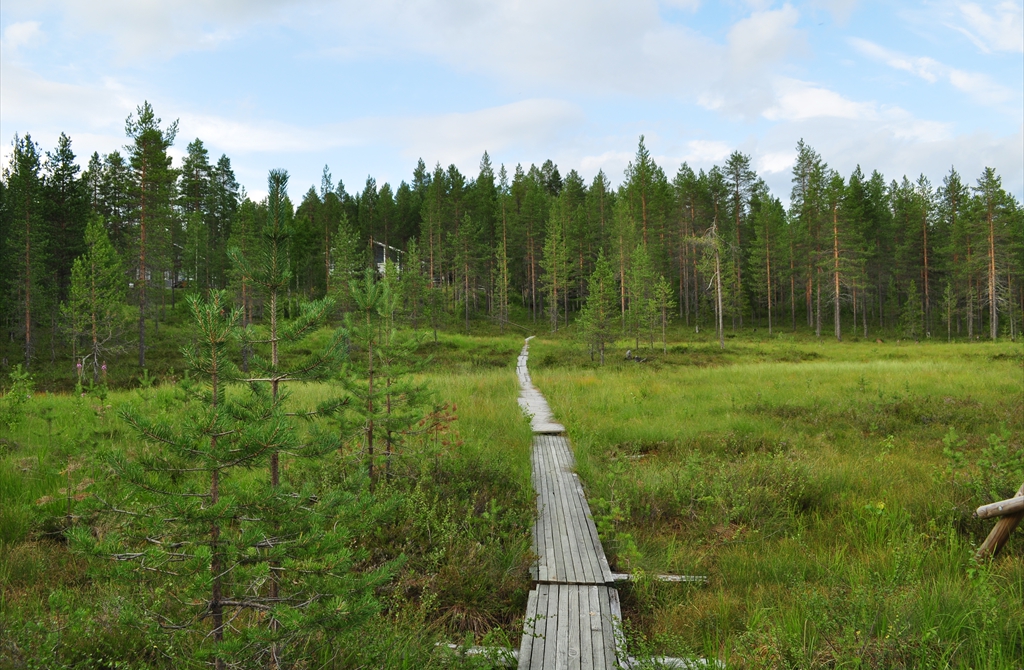 Areale mlăștinoase, nordul Finlandei